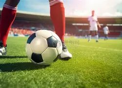 中超球队亚,冠征程八强,落幕,世界杯预选赛,2026世界杯,赛程,参赛球队,最新动态