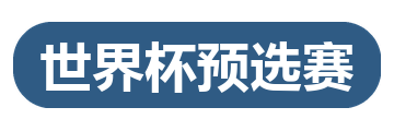 世界杯预选赛